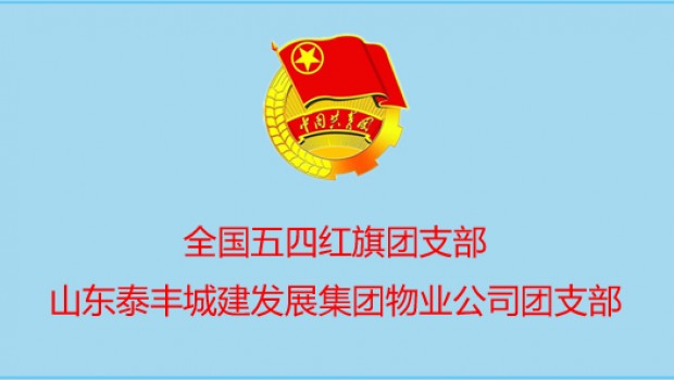 泰豐物業(yè)公司團(tuán)支部喜獲 國(guó) 家 級(jí) 表彰！